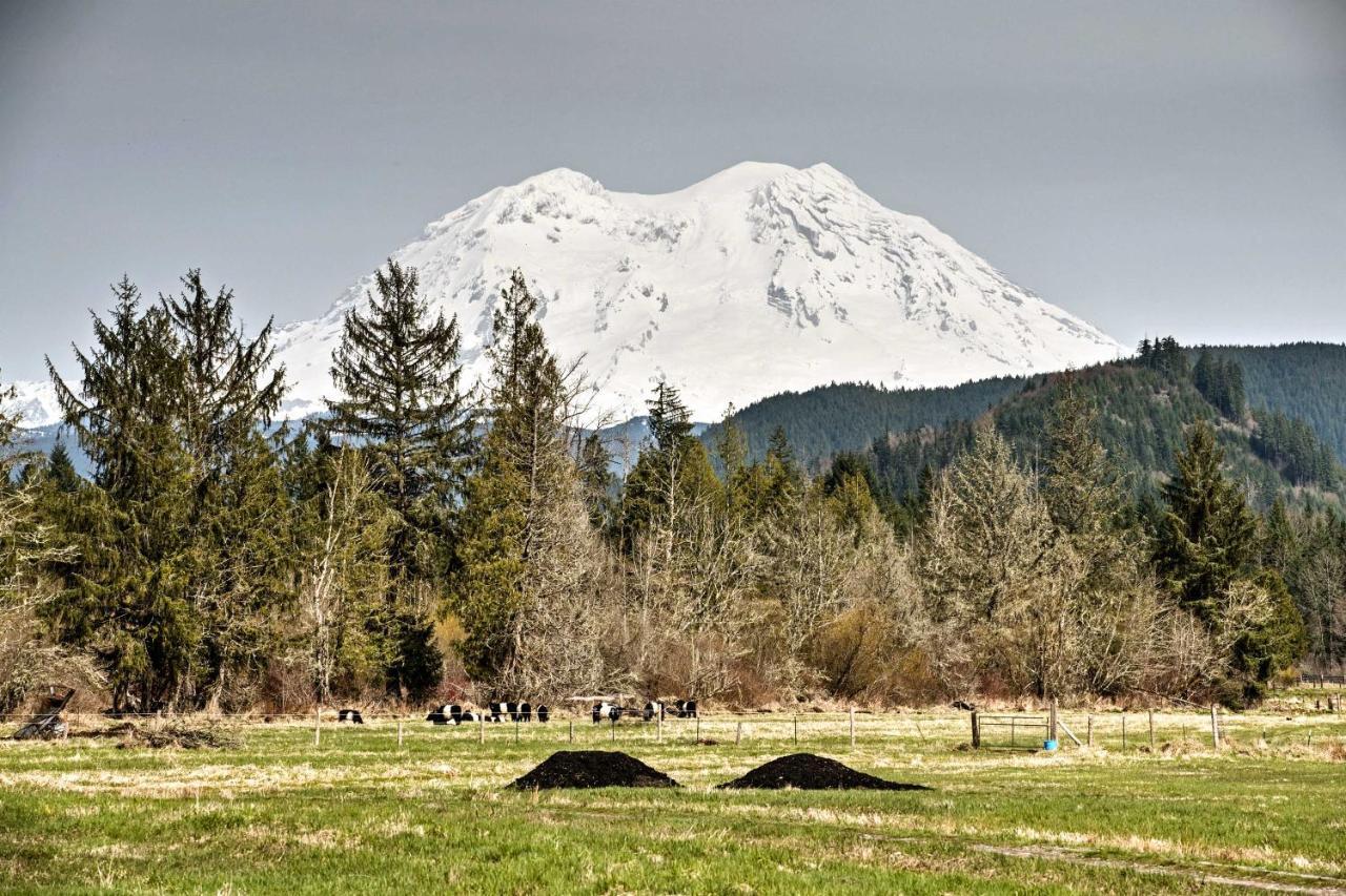 Serene Washington Escape With Deck And Mountain Views! Packwood Dış mekan fotoğraf